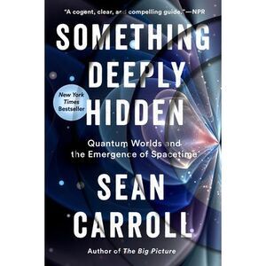Something Deeply Hidden: Quantum Worlds and the Emergence of Spacetime -- Sean C